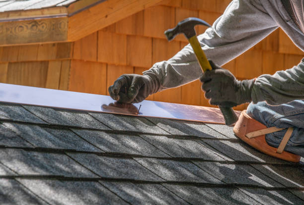 Best Roof Moss and Algae Removal  in Abbeville, GA
