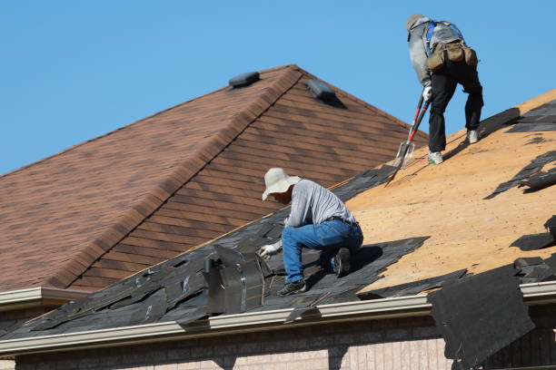 Professional  Roofing repair and installation in Abbeville, GA